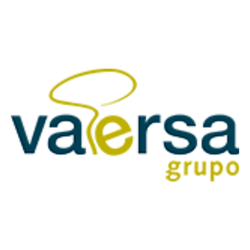 Vaersa Grupo